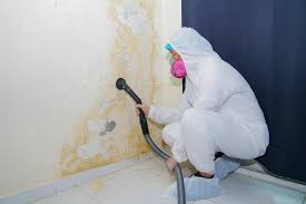 Best Forensic Mold Investigation  in Fairview, MT